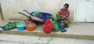 Jubileo de la misericordia, Misioneros Maryknoll