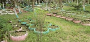 Semillas de paz plantadas en un barrio peligroso de Haití dan lugar a un oasis