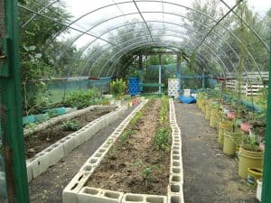 Semillas de paz plantadas en un barrio peligroso de Haití dan lugar a un oasis