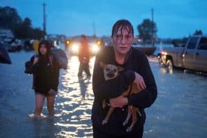 ¿cómo hacer el amor de dios visible en medio de tragedias?