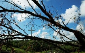 ¿cómo hacer el amor de dios visible en medio de tragedias?
