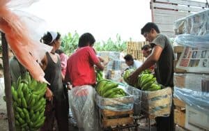 NAFTA: Cortesía de la Oficina de Asuntos Globales de Maryknoll