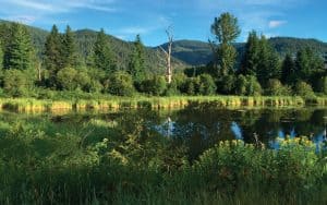 Congreso misionero americano tratará temas de cuidado de la tierra.