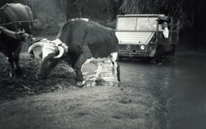 Misionero que sirvió en Chile solía atravesar senderos abruptos para llevar el Evangelio a zonas rurales .