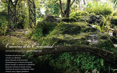 Camino a la Eternidad