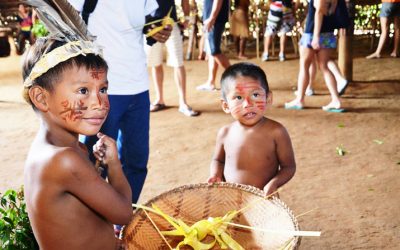 Brasil: Actúa para Proteger a los Defensores Ambientales