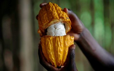 Mundo: Cambio climático y nuestra comida