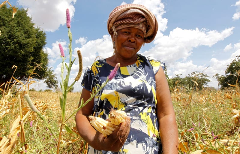 Una mujer sostiene maíz mientras lucha contra el cambio climático en su pequeña granja en Kitui, Kenia, el 17 de marzo de 2021. El Día de la Tierra, que se observa el 22 de abril de cada año, marca el aniversario del nacimiento del movimiento ambiental moderno en 1970. (CNS foto / Monicah Mwangi, Reuters)