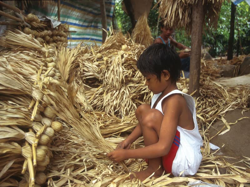 Mundo: Detener el trabajo infantil