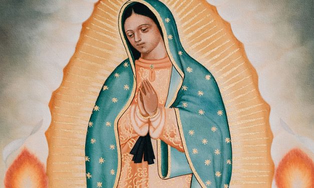 El mundo se unirá en Rosario por la paz de México en Solemnidad de la Virgen de Guadalupe