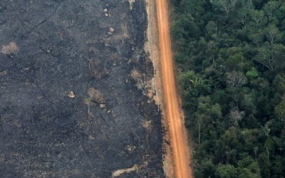 Hacia una Ecología Humana Integral