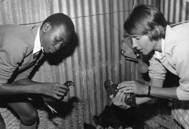 La hermana Miller enseña a un estudiante a cuidar aves de corral en 1988, mientras se desempeñaba como instructora agrícola en la escuela secundaria Thornhill en Gweru, Zimbabwe.(Maryknoll Mission Archives)