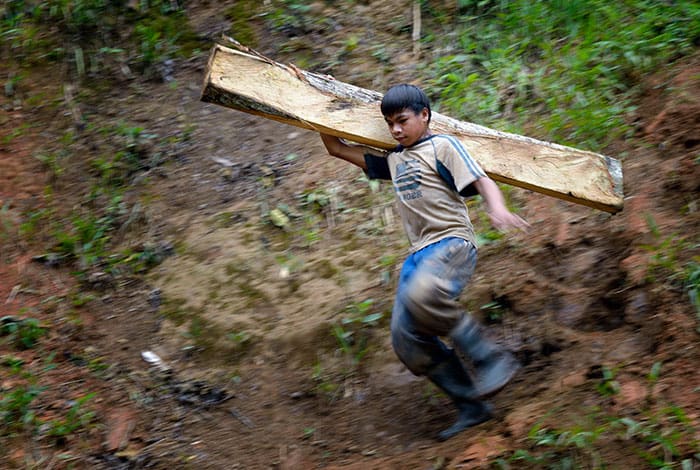 no al trabajo infantil en el mundo: Un niño lleva una viga de madera destinada a un túnel de mina en Pamintaran, una comunidad minera de oro remota cerca de Maragusan en la isla de Mindanao, en el sur de Filipinas, en esta foto de archivo del 6 de junio de 2012. (Foto del CNS/Paul Jeffrey)