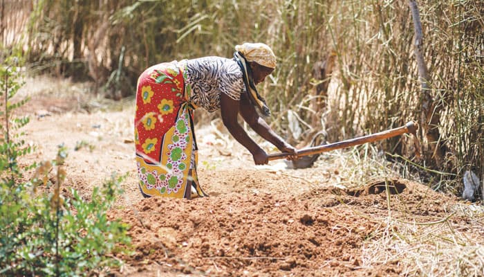 Una mujer labra la tierra en preparación para sembrar maíz en los terrenos de la Misión San Juan Bautista cerca de Kibwezi donde Maryknoll financia un proyecto de alimentos y agua. (Gregg Brekke/Kenya)