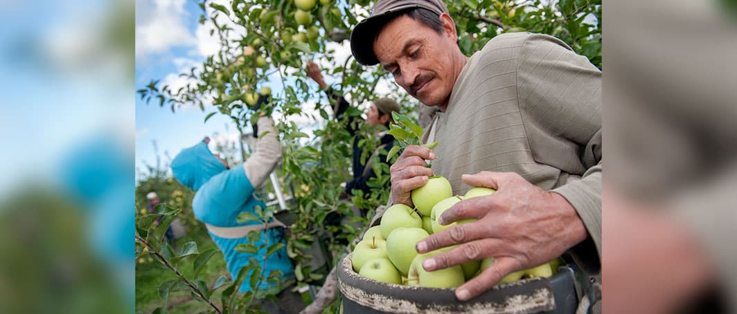 Humanizando la relación empleador-empleado en sector agrícola