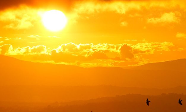 Papa sobre cambio climático en ‘Laudate Deum’: “Nadie se salva solo”