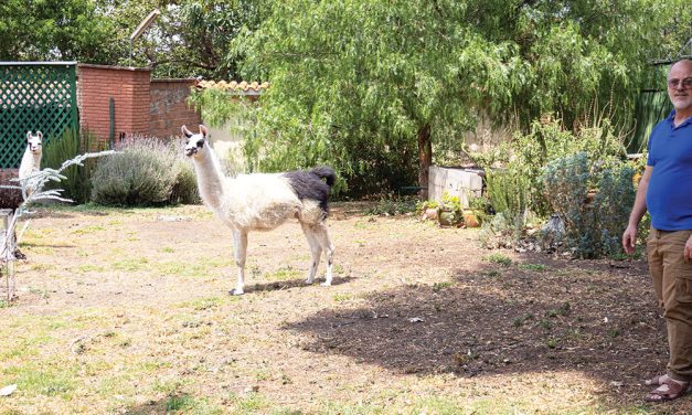 Misiones en Latinoamérica: Hacia una espiritualidad ecológica