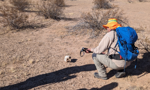 Foto destacada: Un voluntario de búsqueda y rescate con un equipo de 14 miembros conformado en su mayoría por seminaristas y sacerdotes jesuitas observan un cráneo humano el 21 de diciembre del 2024 en el desierto de Sonora. Se cree que el cráneo es parte de los restos de un migrante que murió en el desierto, cerca de Growlers Valley, durante un cruce de la frontera desde México hacia Estados Unidos. (OSV News/courtesy Jaret Ornelas, S.J.)