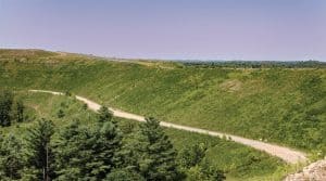 Foto de un camino (Octavio Durán/U.S.)