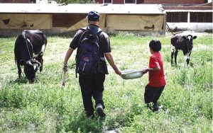 Como parte de sus deberes diarios, los niños recogen huevos de gallina. Además alimentan y dan de beber a dos becerros, que pastan en los campos de la propiedad del hogar. (Adam Mitchell/Bolivia)