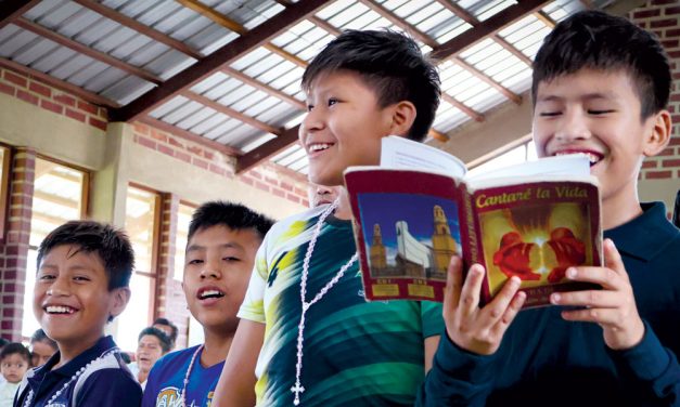 Misiones en Latinoamérica: Aprender sinodalidad de los teólogos de la vida