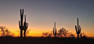 Un atardecer en el desierto de Sonora, Arizona, donde un equipo de 14 voluntarios, formado en su mayoría por seminaristas y sacerdotes jesuitas, llevó a cabo una misión de búsqueda y rescate en diciembre del 2024, para buscar a migrantes desaparecidos o muertos que cruzaron la frontera entre Estados Unidos y México. (OSV News/cortesía de Luke Taylor, S.J.)