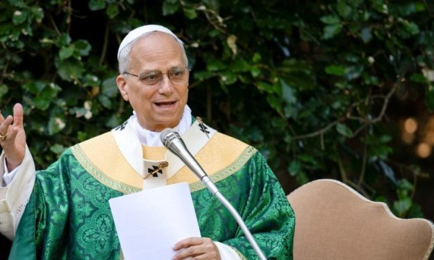 Papa ora por conversión e insta a actuar ante crisis climática