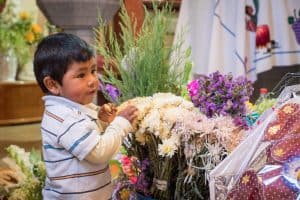 Un niño se acerca a las flores durante una Misa de Todos los Santos en una iglesia Maryknoll en Jayllihuaya, en el departamento de Puno Department, Perú. (Nile Sprague/Perú)
