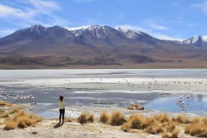 Imagen de portada: Una persona se para frente a una laguna con flamencos en Uyuni, Bolivia. (Suansita K/Unsplash)