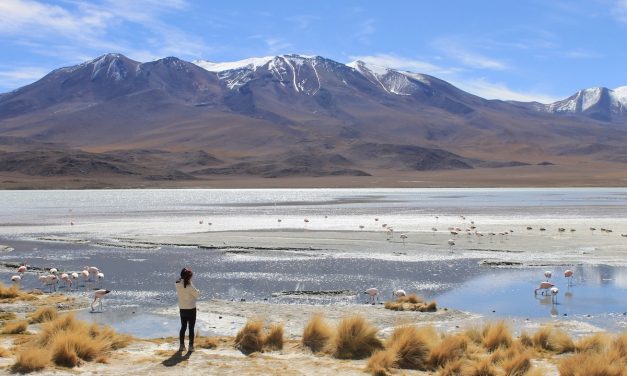 Reflexión Maryknoll: El regalo de la contemplación