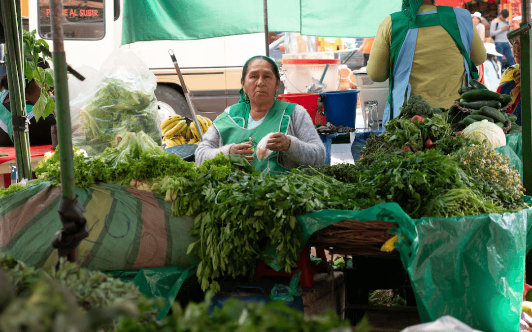 Reflexión Maryknoll: El jardín espiritual