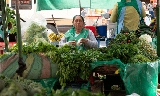 Reflexión Maryknoll: El jardín espiritual