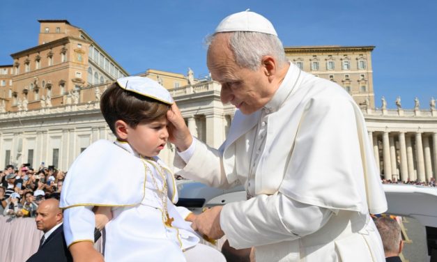 Papa León: Dios no da “soluciones inmediatas”; Dios trabaja en “el tiempo lento de la confianza”