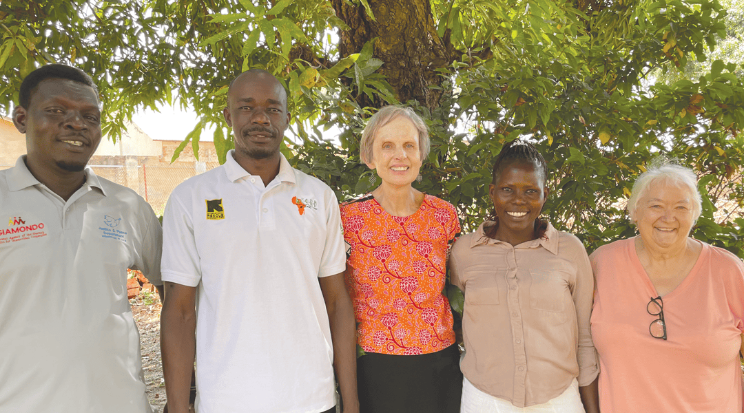 Catedrales de árboles de mango