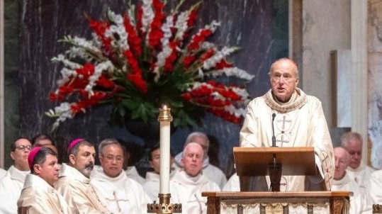 Cardenal McElroy pide solidaridad con indocumentados en EE. UU.