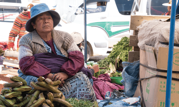 Relatos Misioneros Primavera 2026