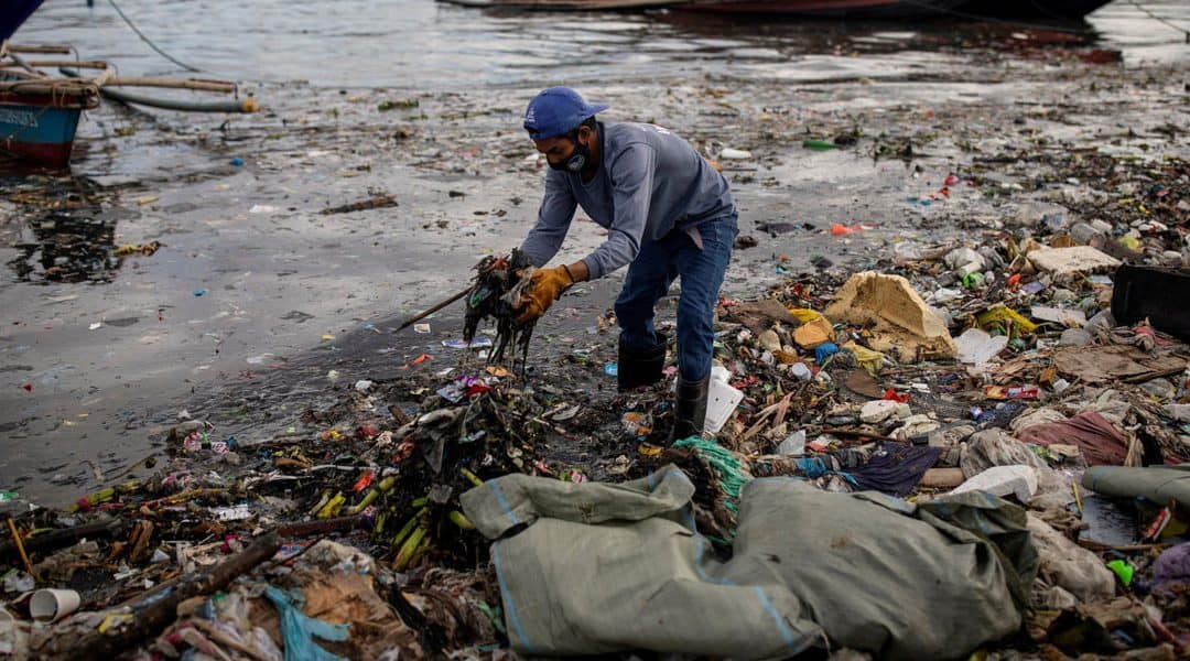 Reflexión Maryknoll: Conciencia global para una ecología integral