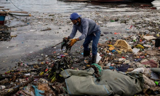 Reflexión Maryknoll: Conciencia global para una ecología integral