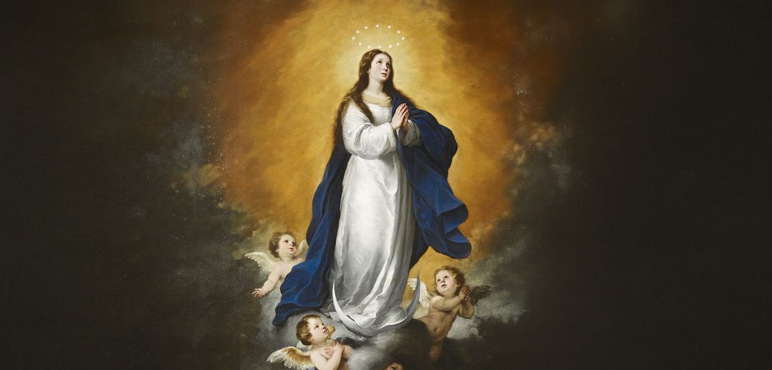 ¿Por qué la Inmaculada Concepción es patrona de los Estados Unidos?