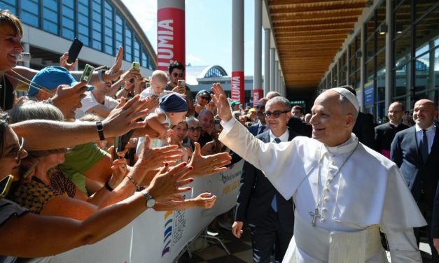 Papa León llama a contrarrestar las mentiras del odio con amor