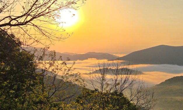 Mensaje del Día Mundial de Oración por el Cuidado de la Creación