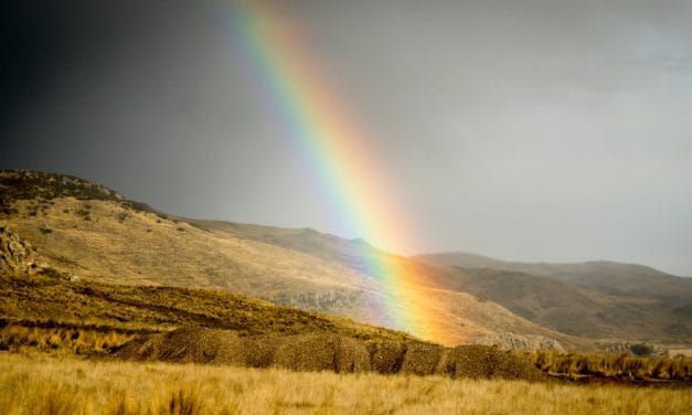 Reflexión Maryknoll: contemplar la belleza de la creación