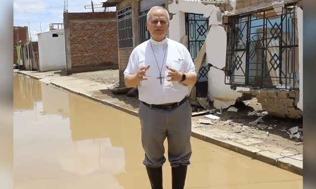 Papa León: Domingo Mundial de las Misiones ‘ha dado frutos en mi vida’