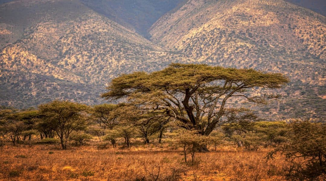 Reflexión Maryknoll: Dios nunca nos dejará solos